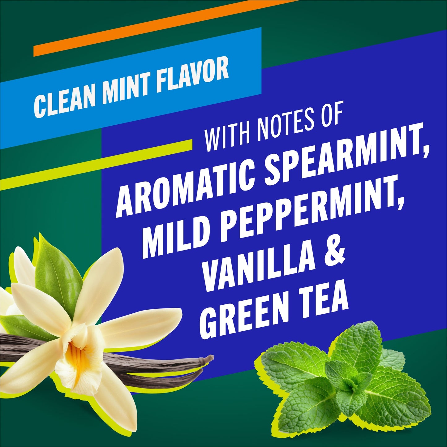 TheraBreath Healthy Gums Toothpaste, Helps Fight Gingivitis, Clean Mint